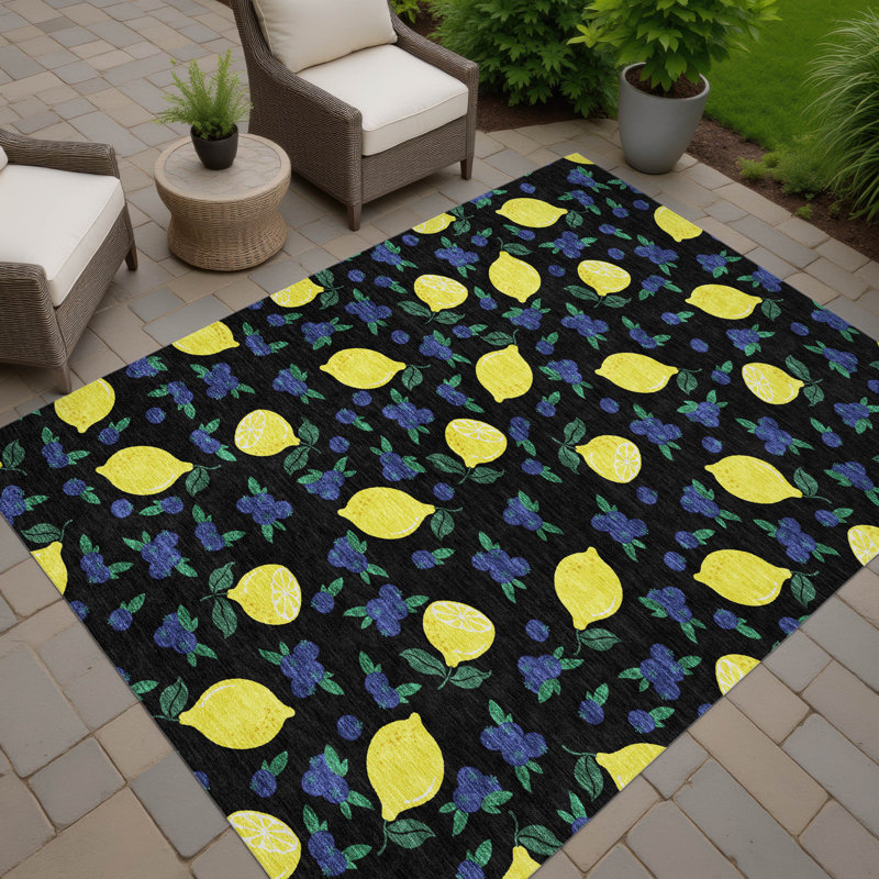 Tapis intérieur / extérieur lavable à la machine Bourkelands ACN2354, Rectangle 10 pi x 14 pi