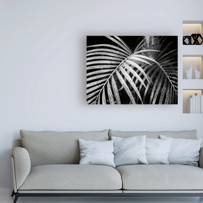 Palmier noir et blanc par Debra Van Swearingen - reproduction de photo sur toile tendue