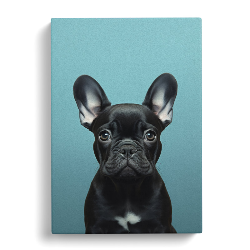 French Bulldog Minimalism - Wrapped Canvas Print, 50cm H x 35cm W x 3cm D