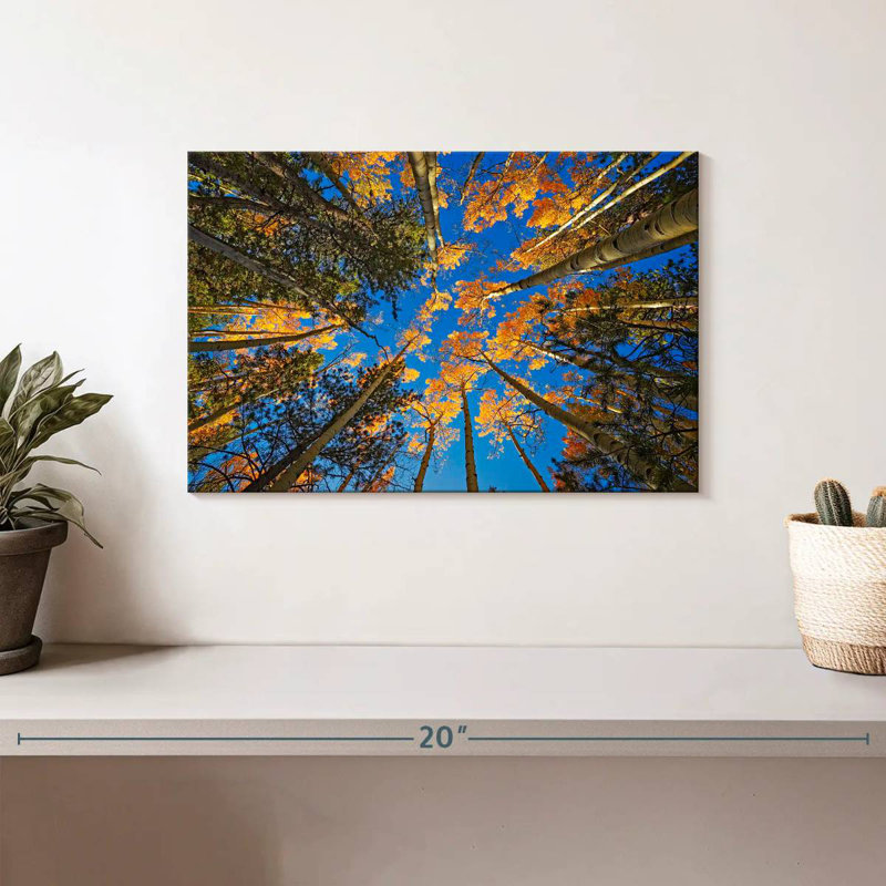 Alvord Aspen Forest In Autumn, 8" H x 12" W