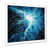 White Picture Framed