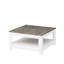 Animesh coffee table