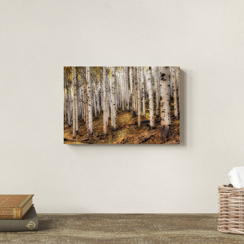 «Aspen Woods», photographie sur toile, H 8 po x l 12 po