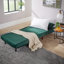 Lonara One Seater Upholstered Single Sofa Bed-1865704538