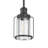 Lincoln Woods Industrial Drop Pendant Light