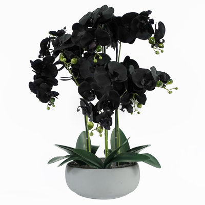 Orchids Plastic, Silk Artificial Arrangement in Planter