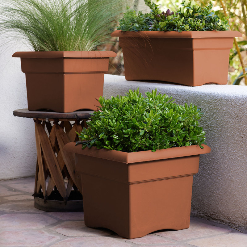 Boîte à fleurs Reiner, Terracotta, H 11,25 po x l 14 po x P 14 po, 1