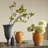 Barringer CRABAPPLE BRANCHES 45" Set of 2