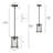 1-Light Small Pendant with Clear Glass Panels