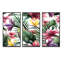 Fleurs tropicales rouges sur fond blanc II - 3 pièces sur toile avec cadre flottant-410394104-410394105