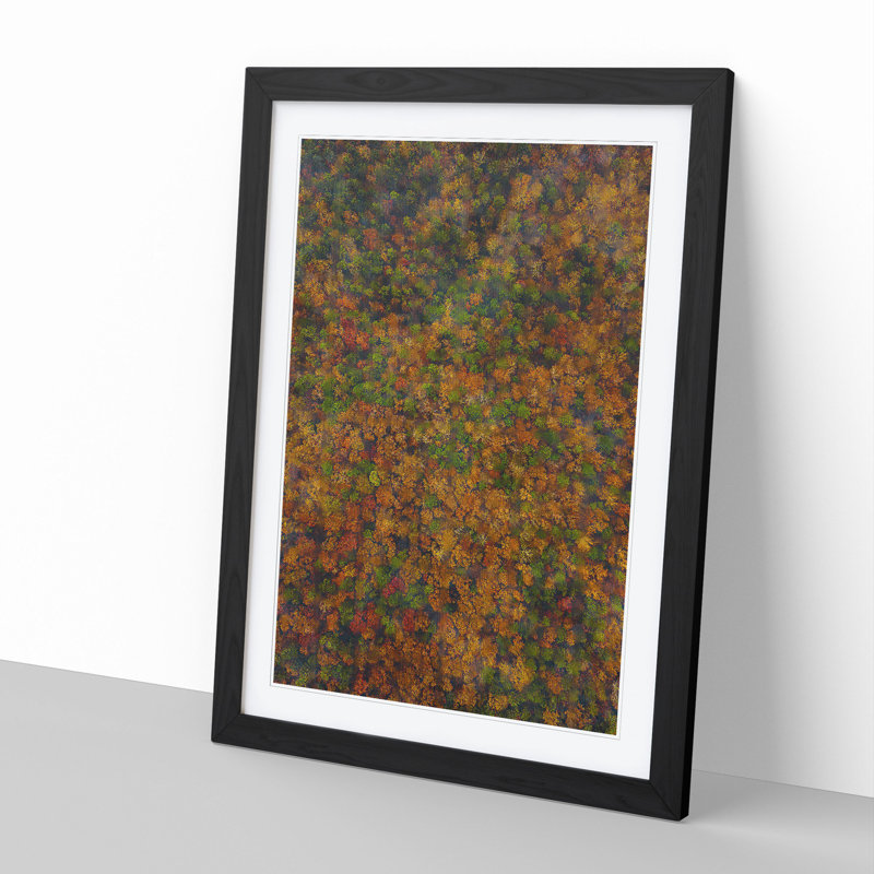 Thousands of Trees - Picture Frame Graphic Art, 36cm H x 27cm W x 2cm D, Black