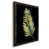 Papier noir est en rupture de stock