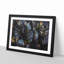 Plant Leaves - Framed Print-56758625-56758628