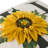 Appliqued Pillow Cover
