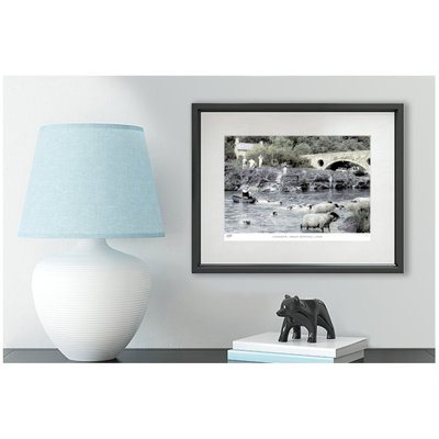 Cenarth, Sheep Dipping C1960 by Francis Frith - Single Picture Frame Print
