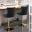 Pascola Swivel Adjustable Height Bar Stools Kitchen Barstools-2101388107