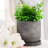 Decorative Line Pattern Planter for Outdoor and Indoor Home Decor - Stylish Cement Flower Pots for Living Room and Patio - 6", Gray & White