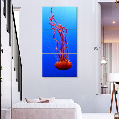 Ortie de mer méduse