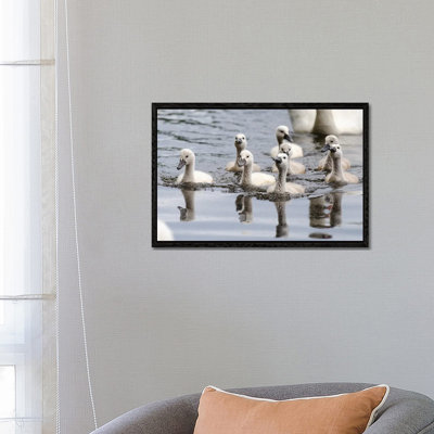 Young’uns by David Gardiner - Print on Canvas