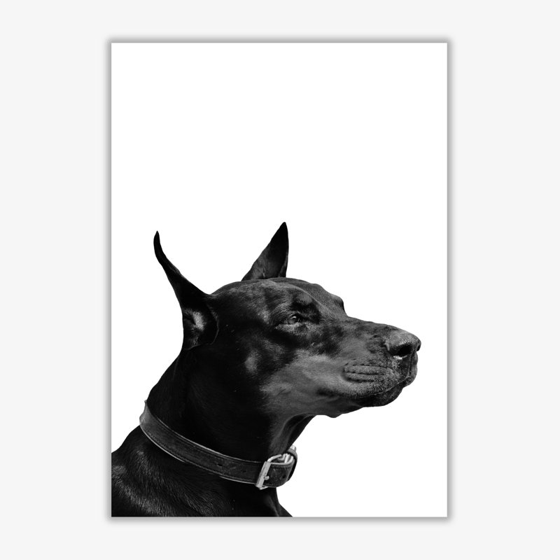 Dog - Print, 60 cm H x 42 cm W x 1 cm D, No Frame
