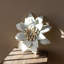 Décoration murale fleur