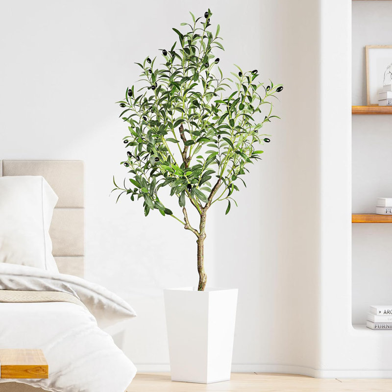 120cm Plant