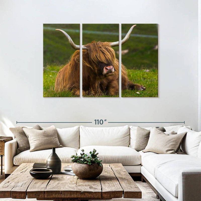 Brampt Highland Cow sur herbe, H 48 po x l 74 po