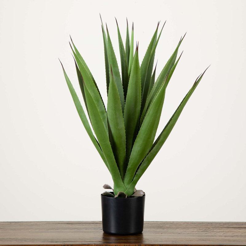 28in. Artificial Agave Plant