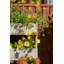Folline Wood Planter Box