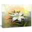 Fleur de lis blanc - reproduction d'art sur toile-35109100-35109092