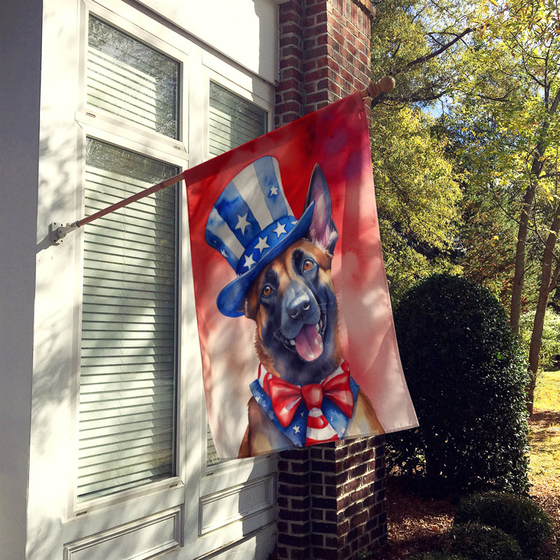 Drapeau patriotique de la maison américaine, Malinois belge