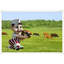 Field Of Dreams Print by Thom Filicia