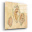 «Shells 1» par Cheri Blum, art mural en verre acrylique-837792619