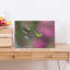 Tropical Bird Feeding Abstract Bird Forest Nature Wall Art Print 1 Piece Wrapped Canvas Wall Art-1298392355