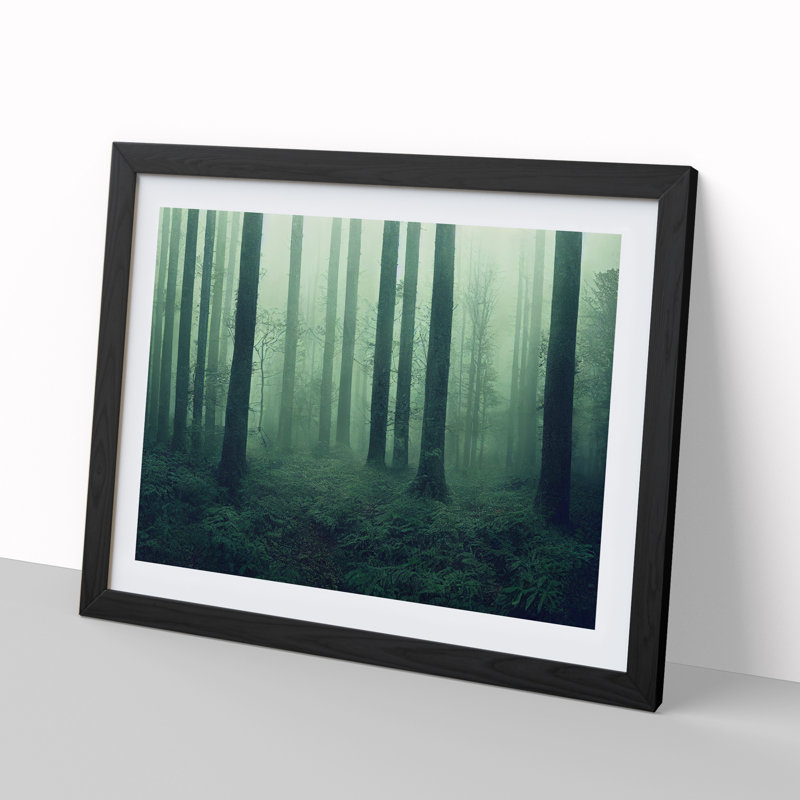 Dazzling Forest - Single Picture Frame Print, Black Framed, 46cm H x 64cm W x 2cm D