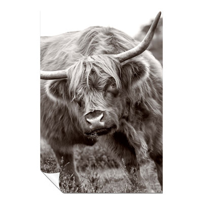 The Great Bull Close Up - No Frame Print