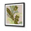 Rainforest II ', peinture-29162286-33458490
