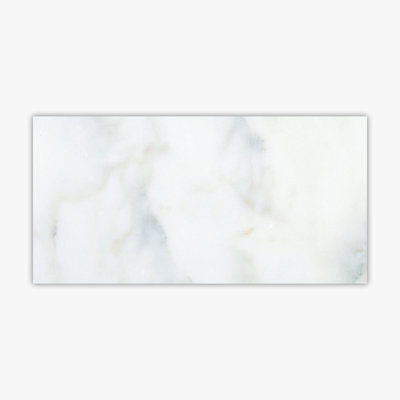 Carreau de marbre et plancher 12 po x 24 po Calacatta