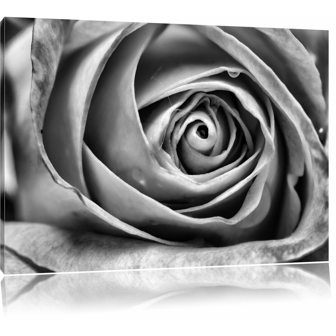 Leinwandbild Anmutige gelbe geschlossene Rose in Monochrom