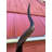 Arieona Real Kudu Skull on Wooden Shield