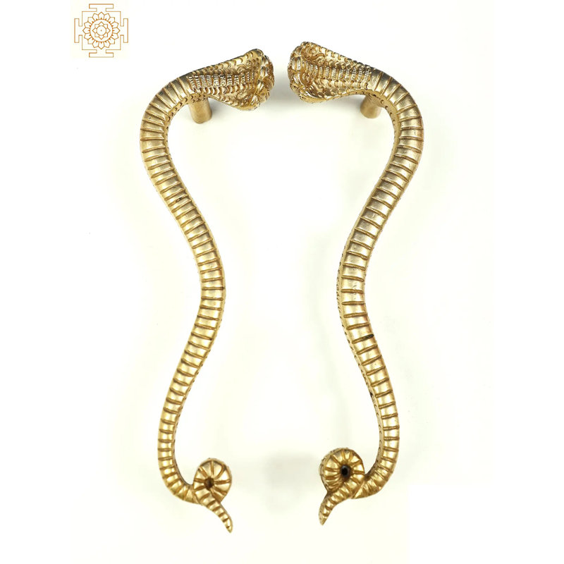 2 Piece Brass Snake Pull Plate Set