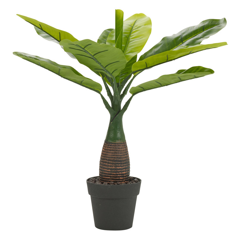 40cm Palm Plant in Pot