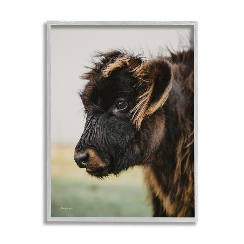 Photographie de bébé vache sur bois par Dakota Diener, H 30 po x l 24 po x P 1,5 po, Estampe numérique Farmhouse