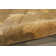 Coplay Oriental Indoor Rug