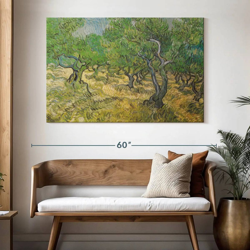 Harnek Olive Grove, H 34 po x l 51 po