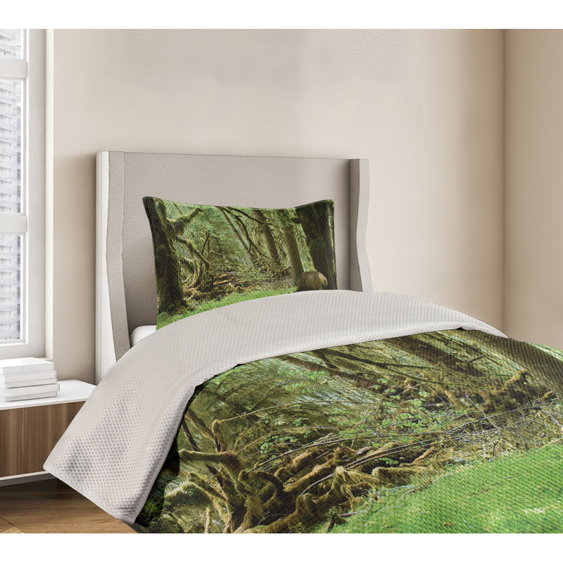 Forest Green Quilted Queen Bedspread Set with Shams