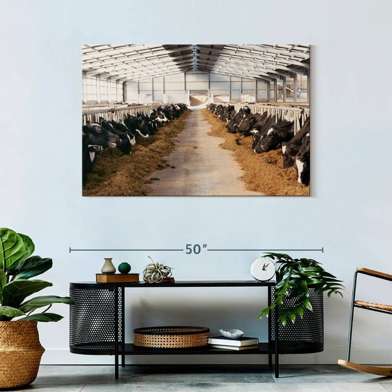 Barn Cows, 30" H x 45" W