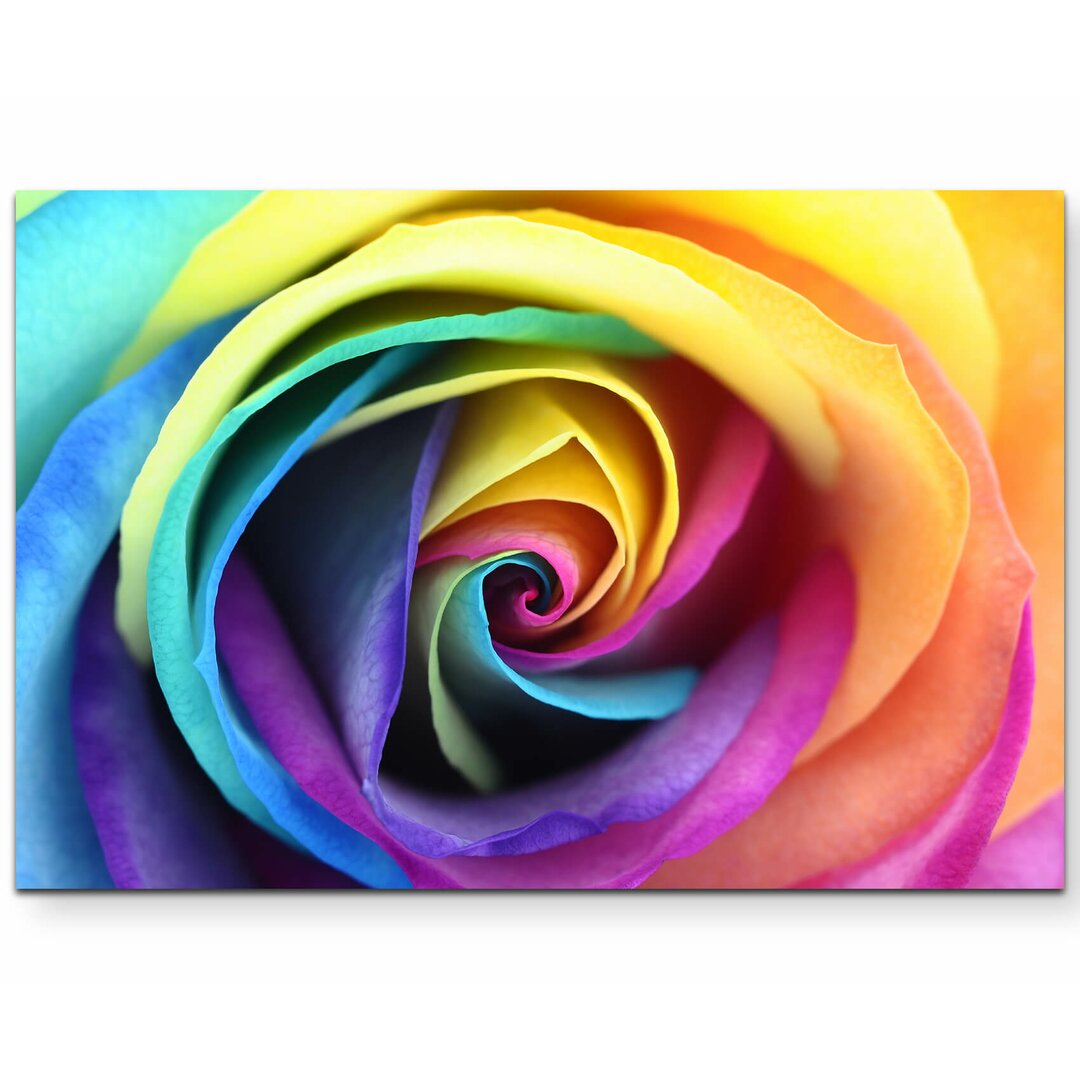 Leinwandbild Eine Rose in den Farben des Regenbogens – Nahaufnahme