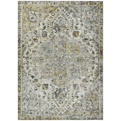Machine Washable Indoor/Outdoor Jocelyn ACN2138 Global Rug