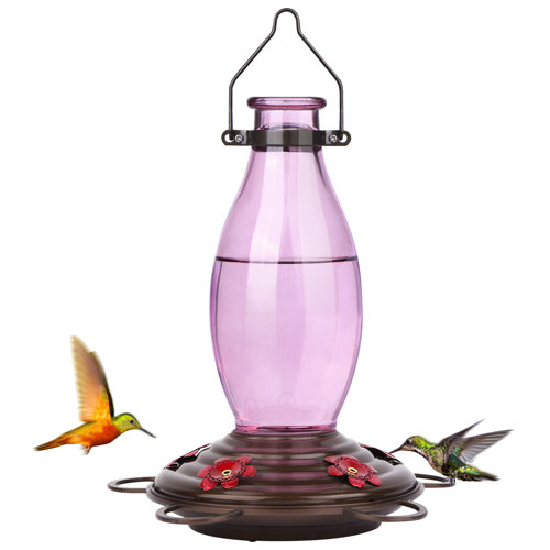 Winston Porter Makaius Glass Hanging Hummingbird Feeder & Reviews | Wayfair